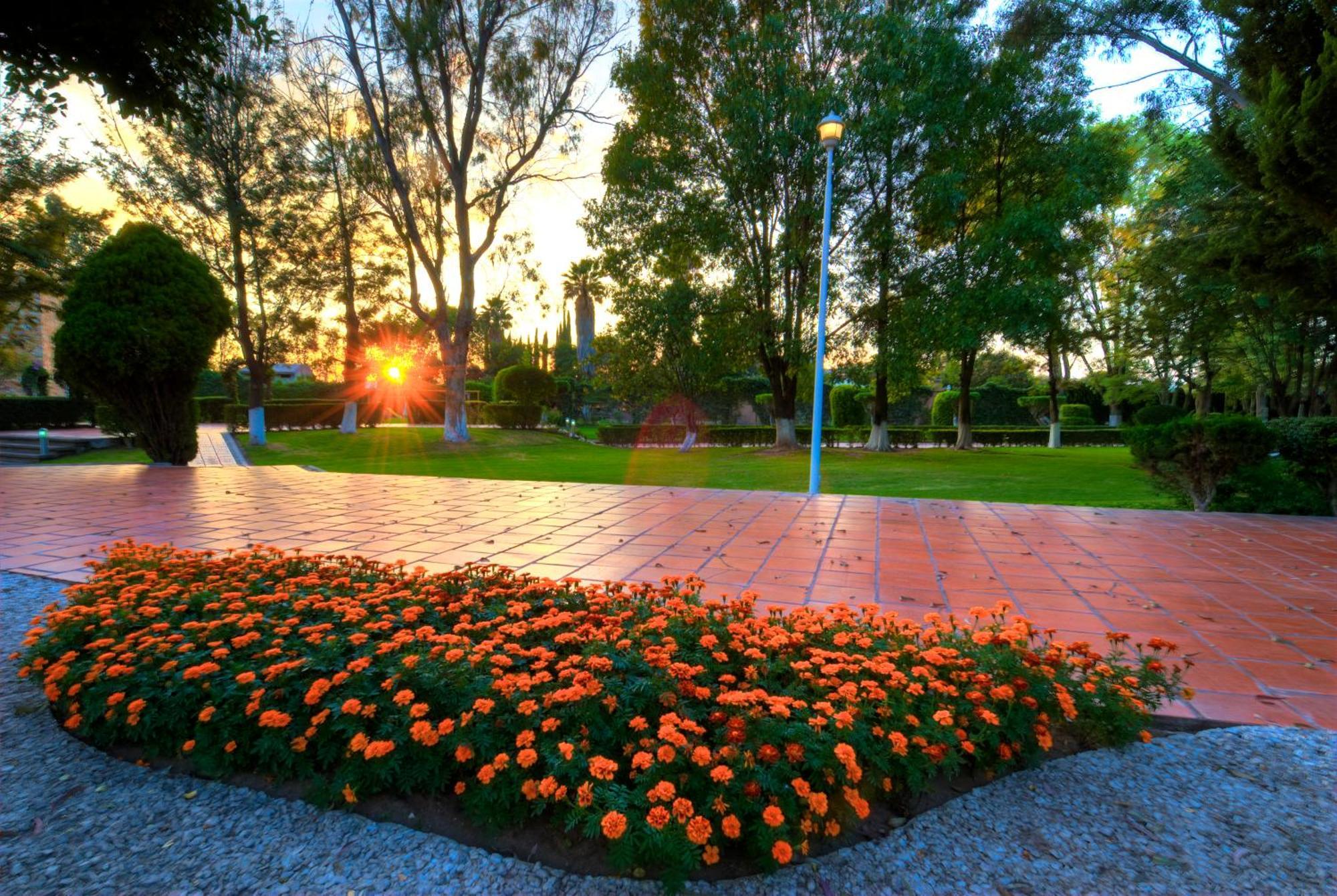 Hotel Las Trojes Aguascalientes Ngoại thất bức ảnh